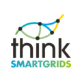 ThinkSmartGrids France
